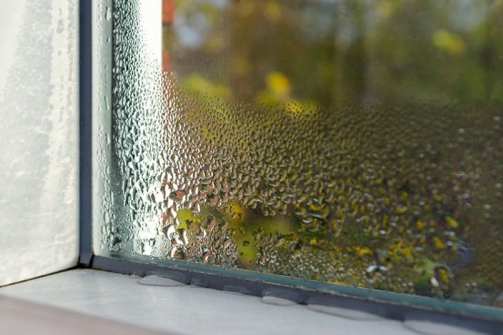 Condensation on a window pane with a blurred natural background, highlighting humidity and temperature difference effects.